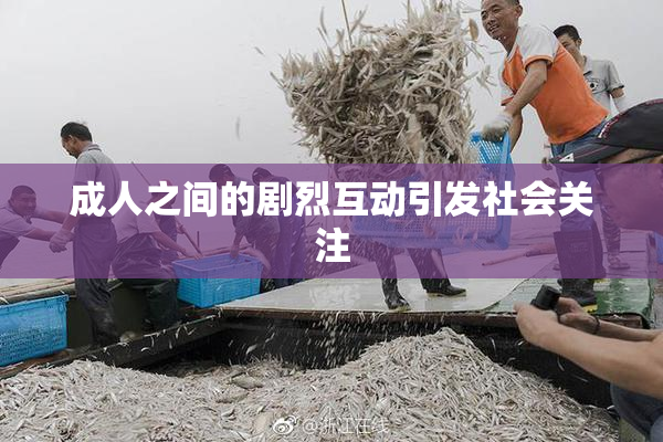 成人之间的剧烈互动引发社会关注