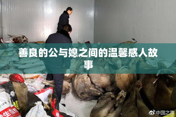 善良的公与媳之间的温馨感人故事