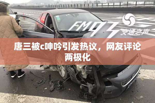唐三被c呻吟引发热议，网友评论两极化