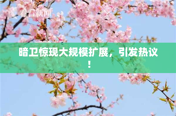 暗卫惊现大规模扩展，引发热议！