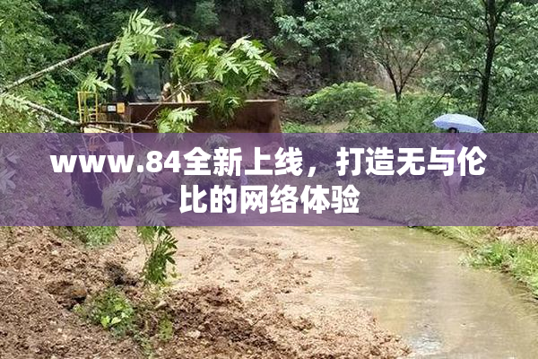 www.84全新上线，打造无与伦比的网络体验