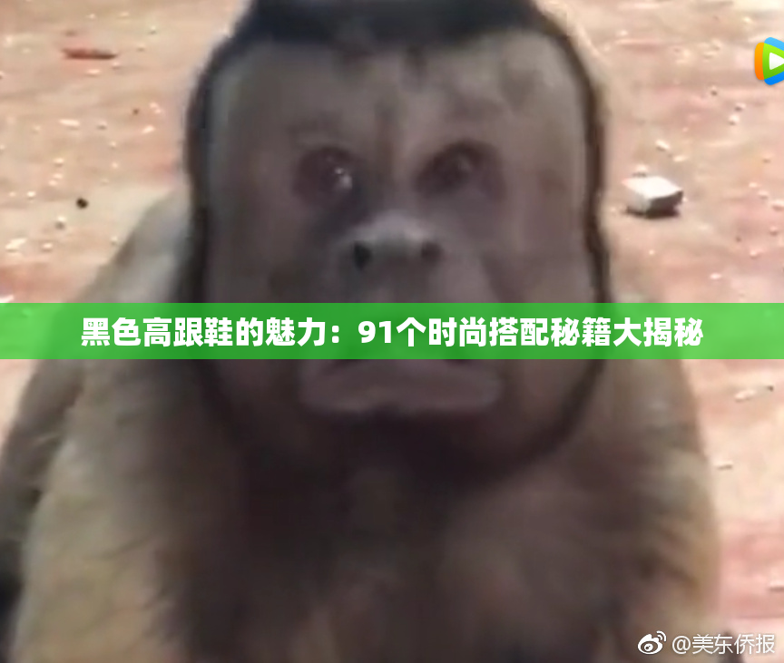 黑色高跟鞋的魅力：91个时尚搭配秘籍大揭秘