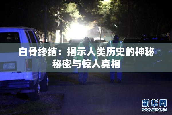 白骨终结：揭示人类历史的神秘秘密与惊人真相