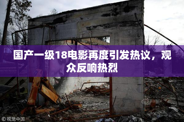 国产一级18电影再度引发热议，观众反响热烈