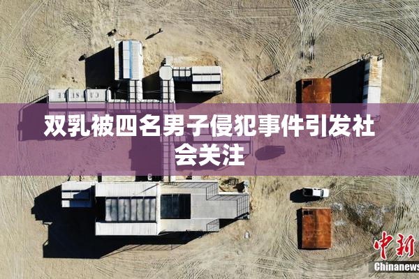 双乳被四名男子侵犯事件引发社会关注