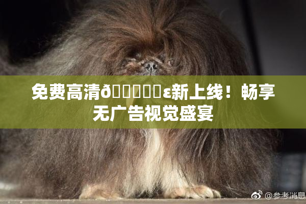 免费高清🔞❌‌ε新上线！畅享无广告视觉盛宴