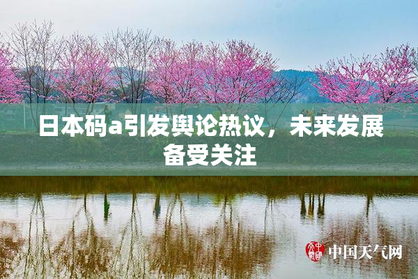 日本码a引发舆论热议，未来发展备受关注