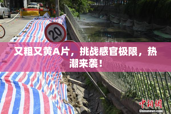 又粗又黄A片，挑战感官极限，热潮来袭！