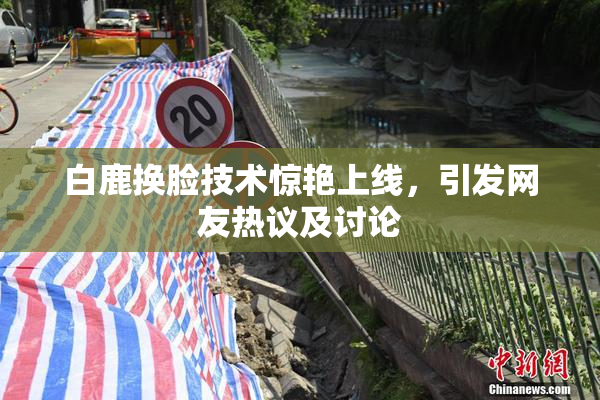白鹿换脸技术惊艳上线，引发网友热议及讨论