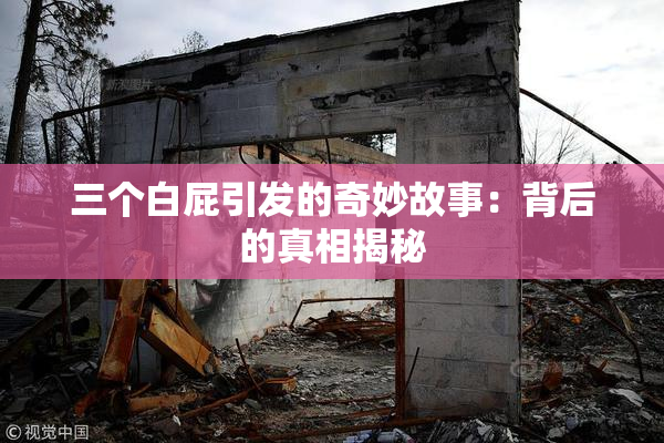 三个白屁引发的奇妙故事：背后的真相揭秘