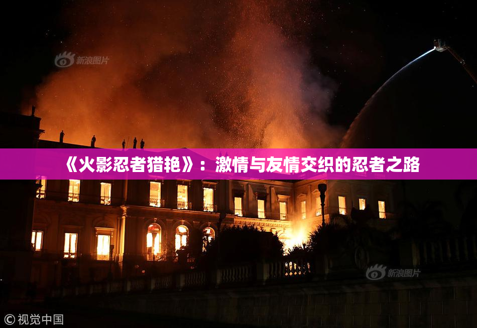 《火影忍者猎艳》：激情与友情交织的忍者之路