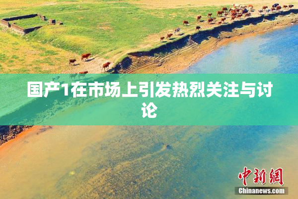 国产1在市场上引发热烈关注与讨论