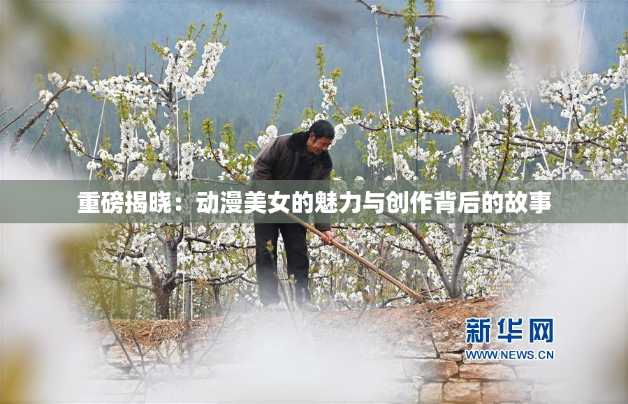 重磅揭晓：动漫美女的魅力与创作背后的故事