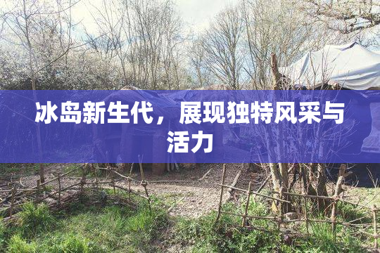 冰岛新生代，展现独特风采与活力