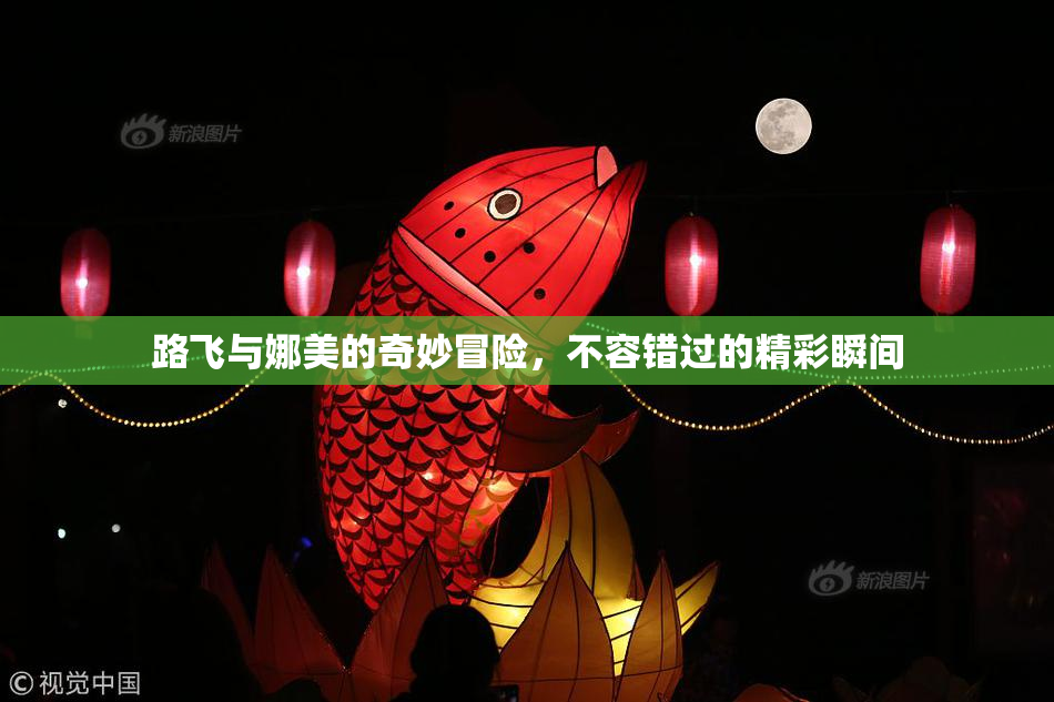 路飞与娜美的奇妙冒险，不容错过的精彩瞬间