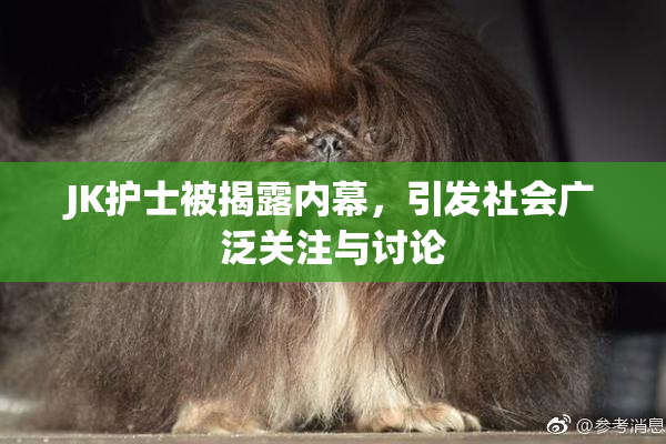JK护士被揭露内幕，引发社会广泛关注与讨论