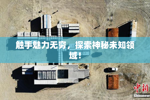 触手魅力无穷，探索神秘未知领域！