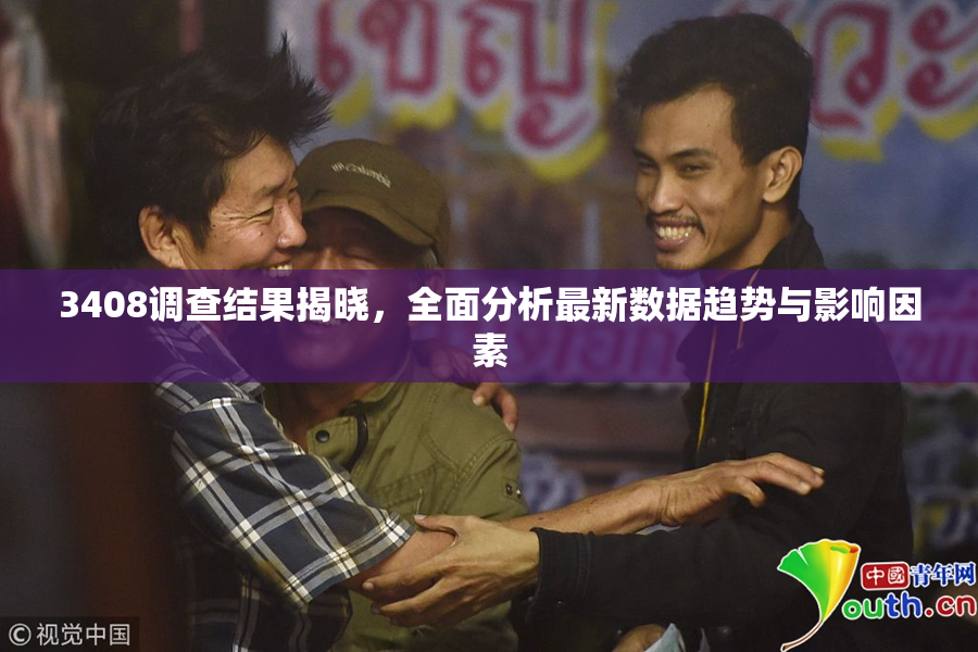 3408调查结果揭晓，全面分析最新数据趋势与影响因素