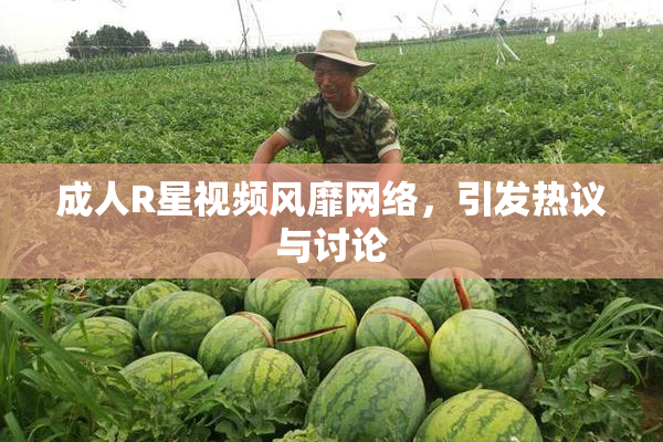 成人R星视频风靡网络，引发热议与讨论