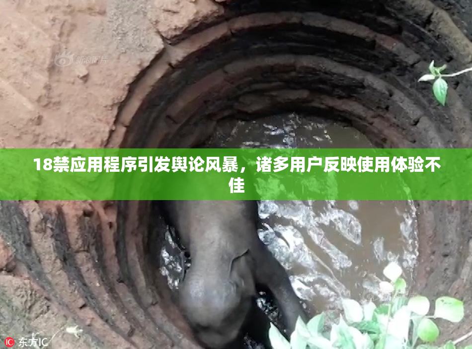 18禁应用程序引发舆论风暴，诸多用户反映使用体验不佳