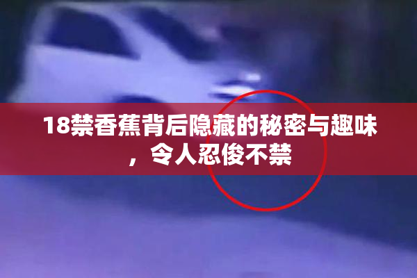 18禁香蕉背后隐藏的秘密与趣味，令人忍俊不禁