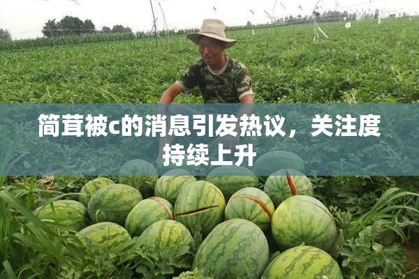简茸被c的消息引发热议，关注度持续上升