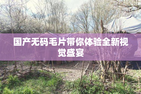 国产无码毛片带你体验全新视觉盛宴