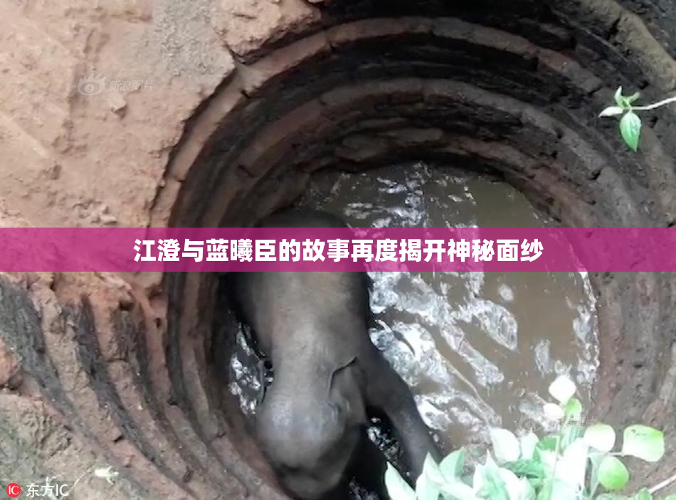 江澄与蓝曦臣的故事再度揭开神秘面纱