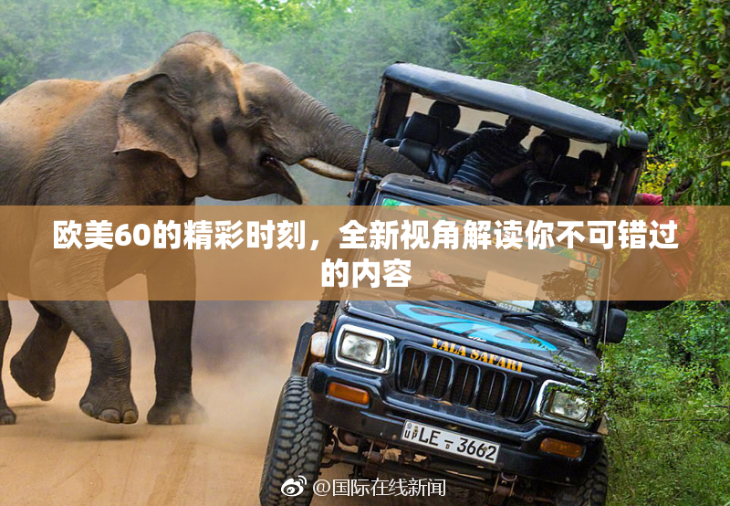 欧美60的精彩时刻，全新视角解读你不可错过的内容