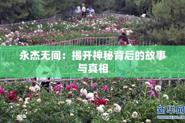 永杰无间：揭开神秘背后的故事与真相