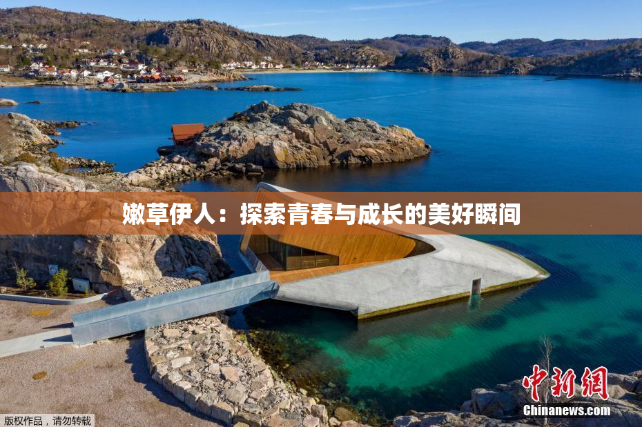 嫩草伊人：探索青春与成长的美好瞬间
