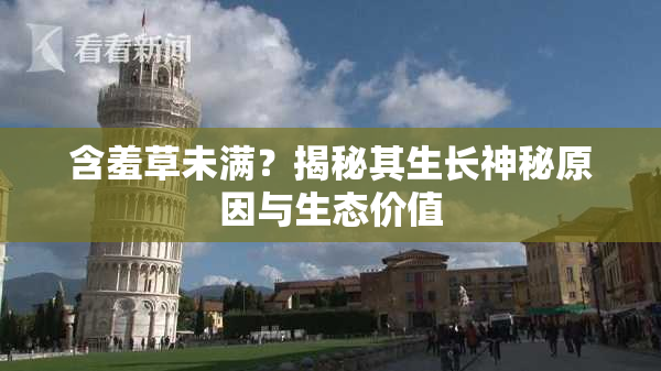 含羞草未满？揭秘其生长神秘原因与生态价值