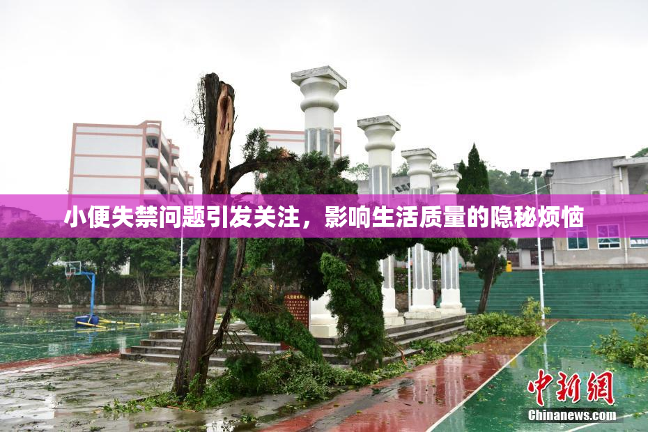小便失禁问题引发关注，影响生活质量的隐秘烦恼