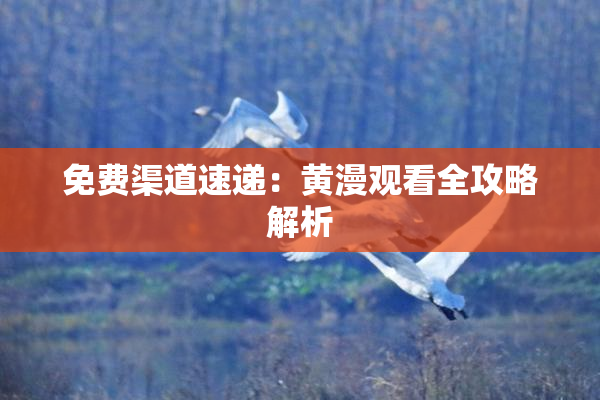 免费渠道速递：黄漫观看全攻略解析