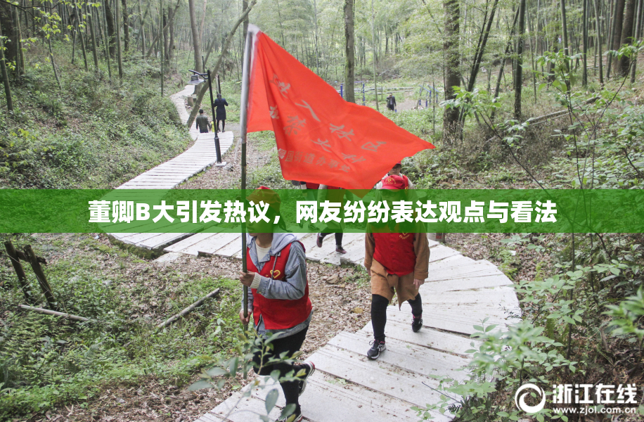 董卿B大引发热议，网友纷纷表达观点与看法
