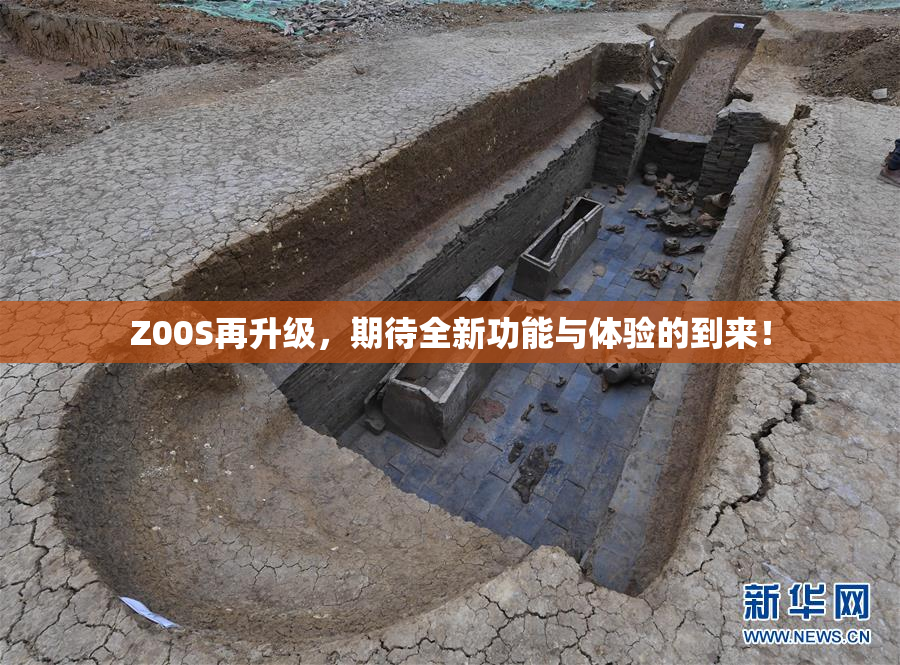 Z00S再升级，期待全新功能与体验的到来！