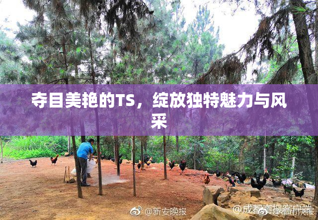 夺目美艳的TS，绽放独特魅力与风采