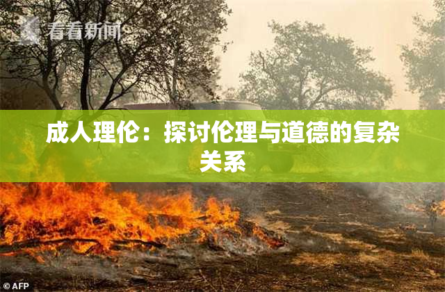 成人理伦：探讨伦理与道德的复杂关系