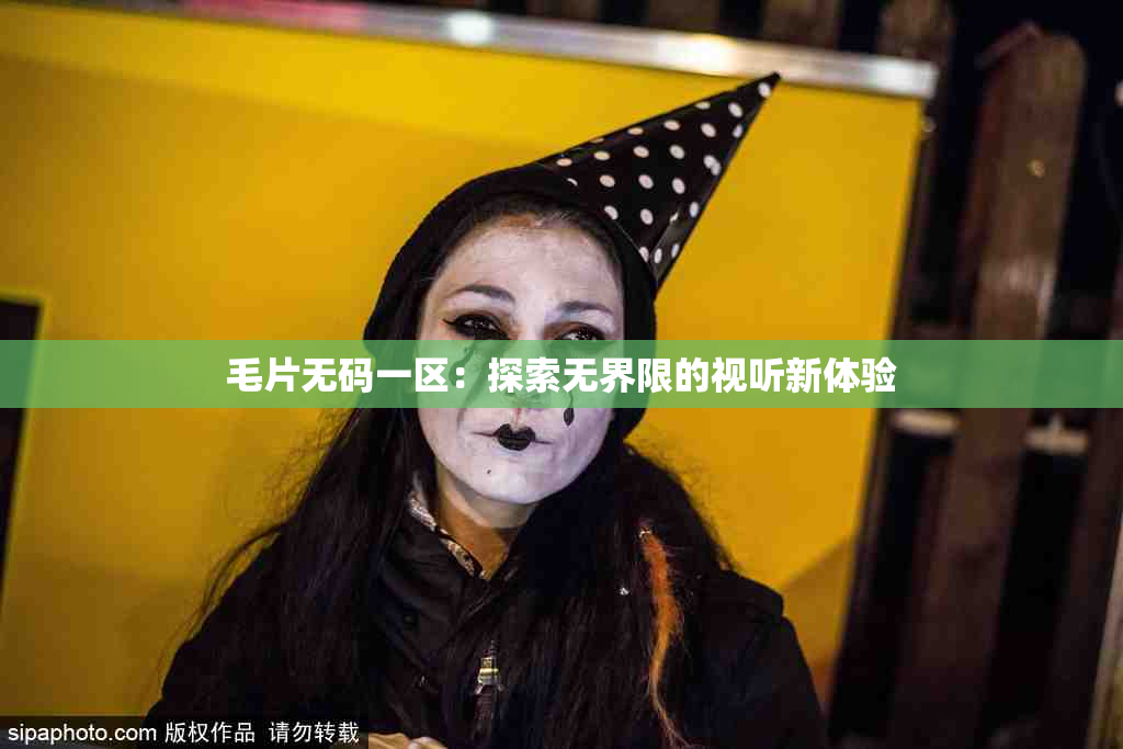 毛片无码一区：探索无界限的视听新体验