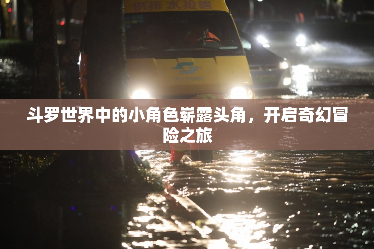 斗罗世界中的小角色崭露头角，开启奇幻冒险之旅