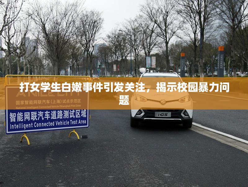 打女学生白嫩事件引发关注，揭示校园暴力问题
