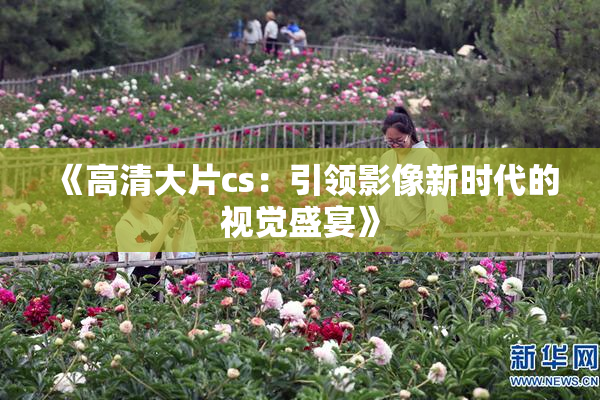 《高清大片cs：引领影像新时代的视觉盛宴》