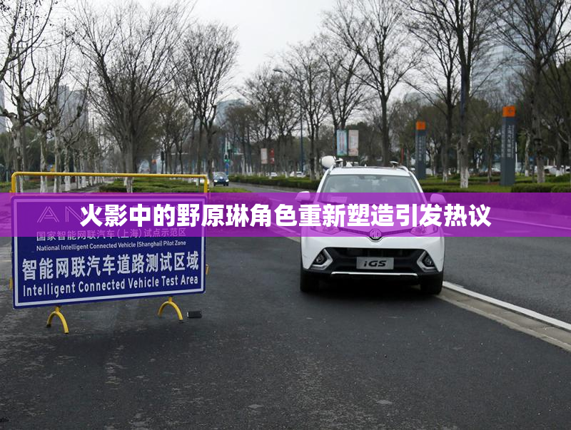 火影中的野原琳角色重新塑造引发热议