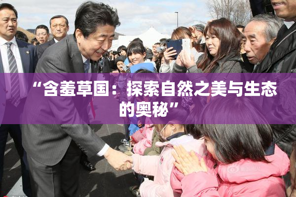 “含羞草国：探索自然之美与生态的奥秘”