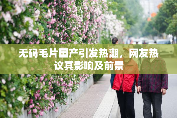 无码毛片国产引发热潮，网友热议其影响及前景