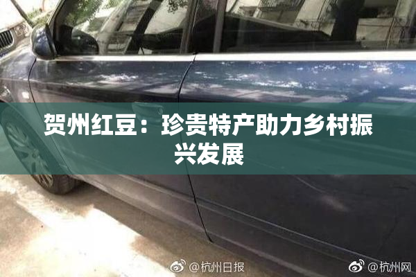 贺州红豆：珍贵特产助力乡村振兴发展