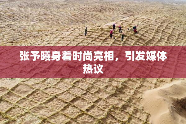 张予曦身着时尚亮相，引发媒体热议