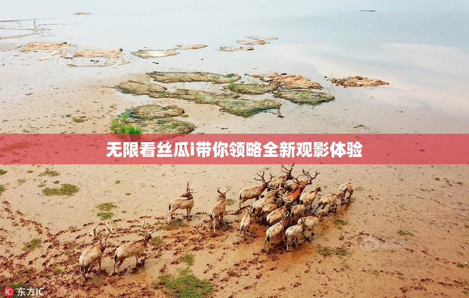 无限看丝瓜i带你领略全新观影体验