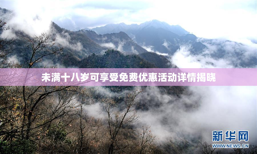 未满十八岁可享受免费优惠活动详情揭晓