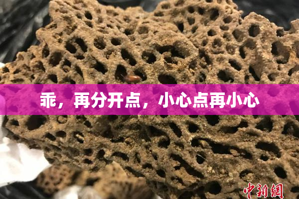 乖，再分开点，小心点再小心